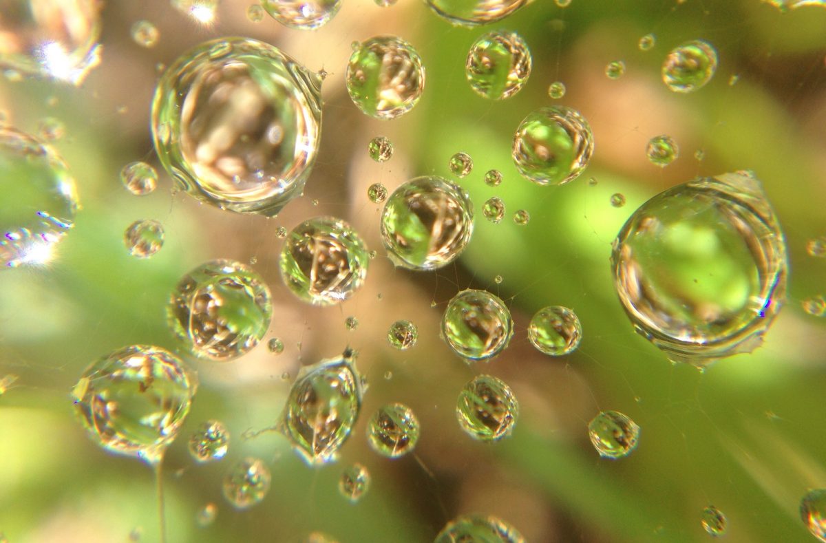 Water molecules